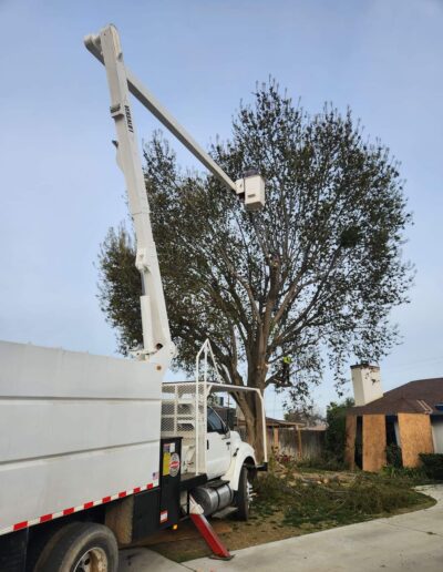 Johnny_s Tree Service truck bucket